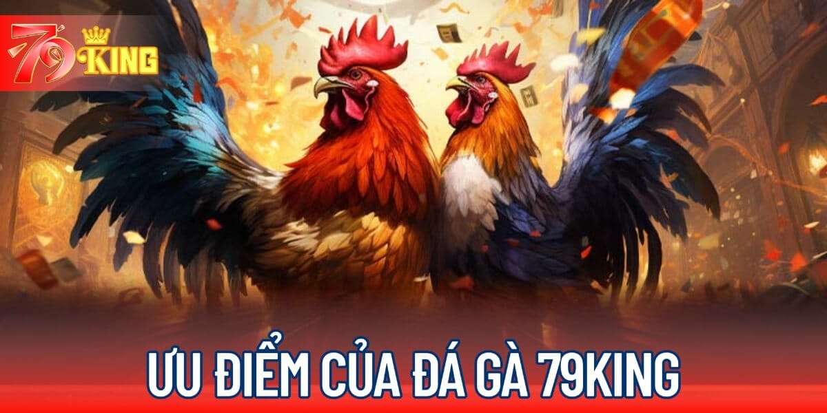 Ưu điểm của đá gà 79KING